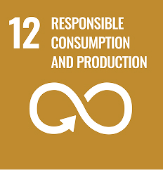 Sustainable Development Goal 12: Responsible Consumption and Production infinity icon