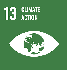 Sustainable Development Goal 13: Climate Action eye-and-globe icon on green