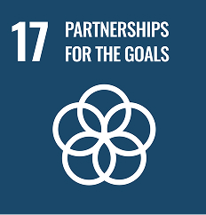 Sustainable Development Goal 17: Partnerships for the Goals interlocking rings icon