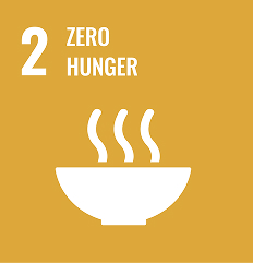 Sustainable Development Goal 2: Zero Hunger steaming bowl icon on gold