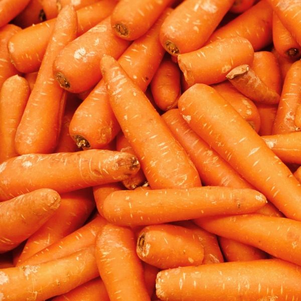 Close-up of a large pile of fresh orange carrots