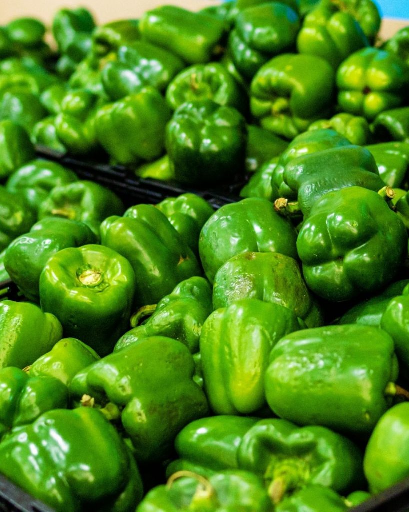 Crates of fresh green capsicums representing rescued surplus produce