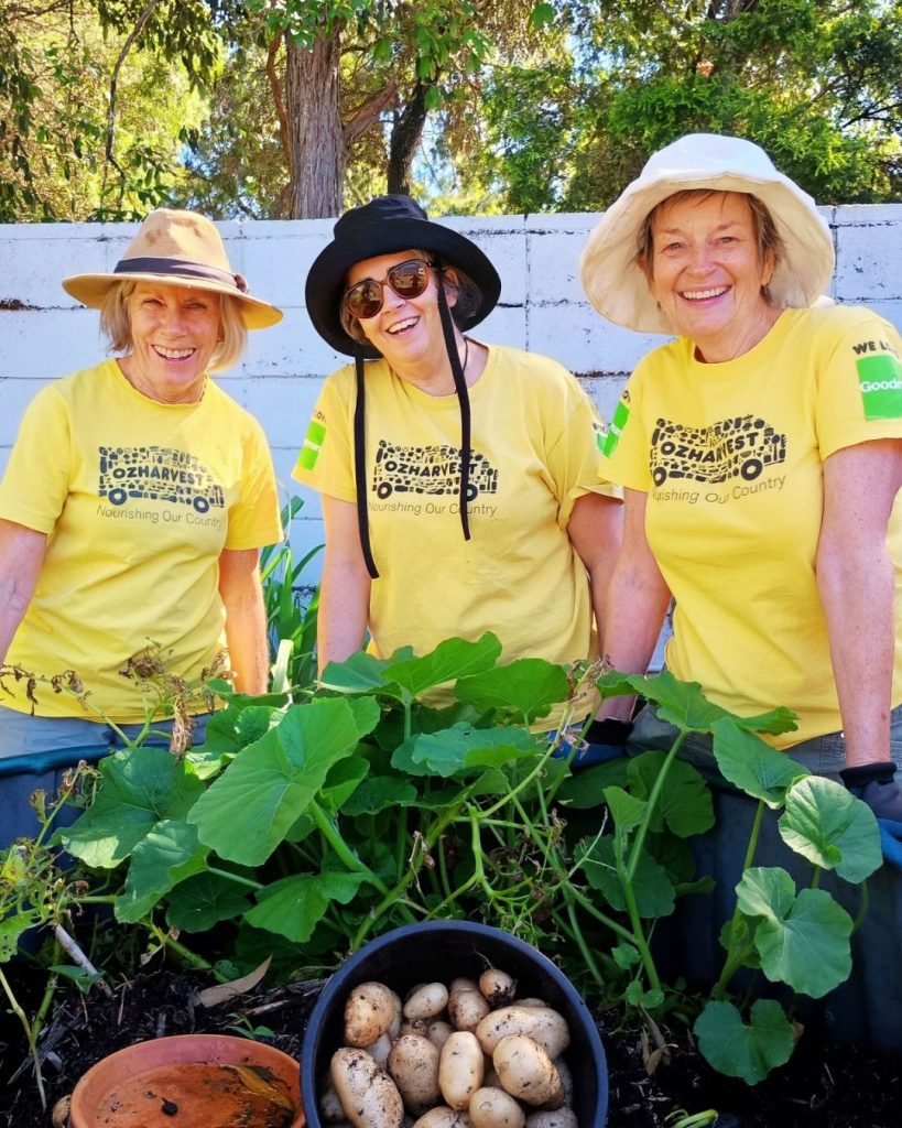 Three smiling OzHarvest volunteers in yellow shirts beside a garden bed and a bowl of harvested potatoes